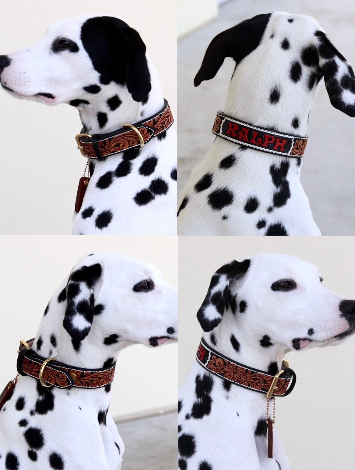 FULL ORDER COLLAR