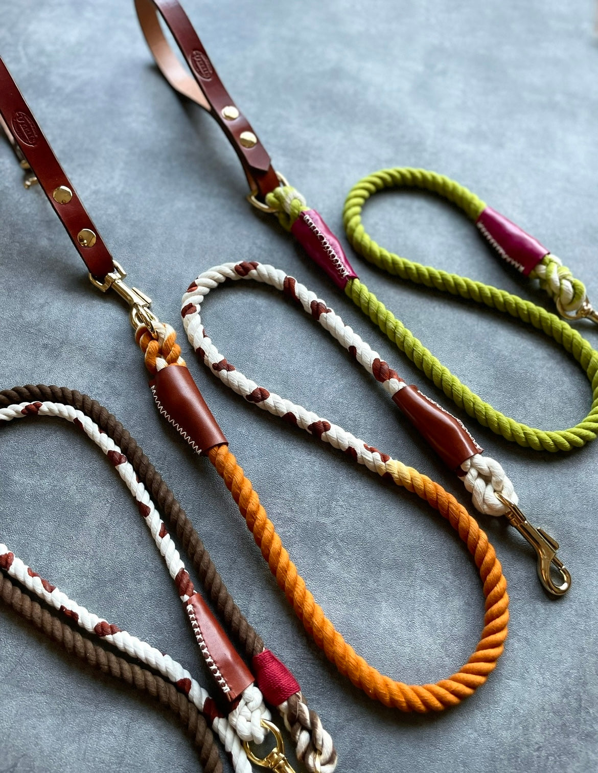GRADATION Cow pattern ROPE LEAD single item
