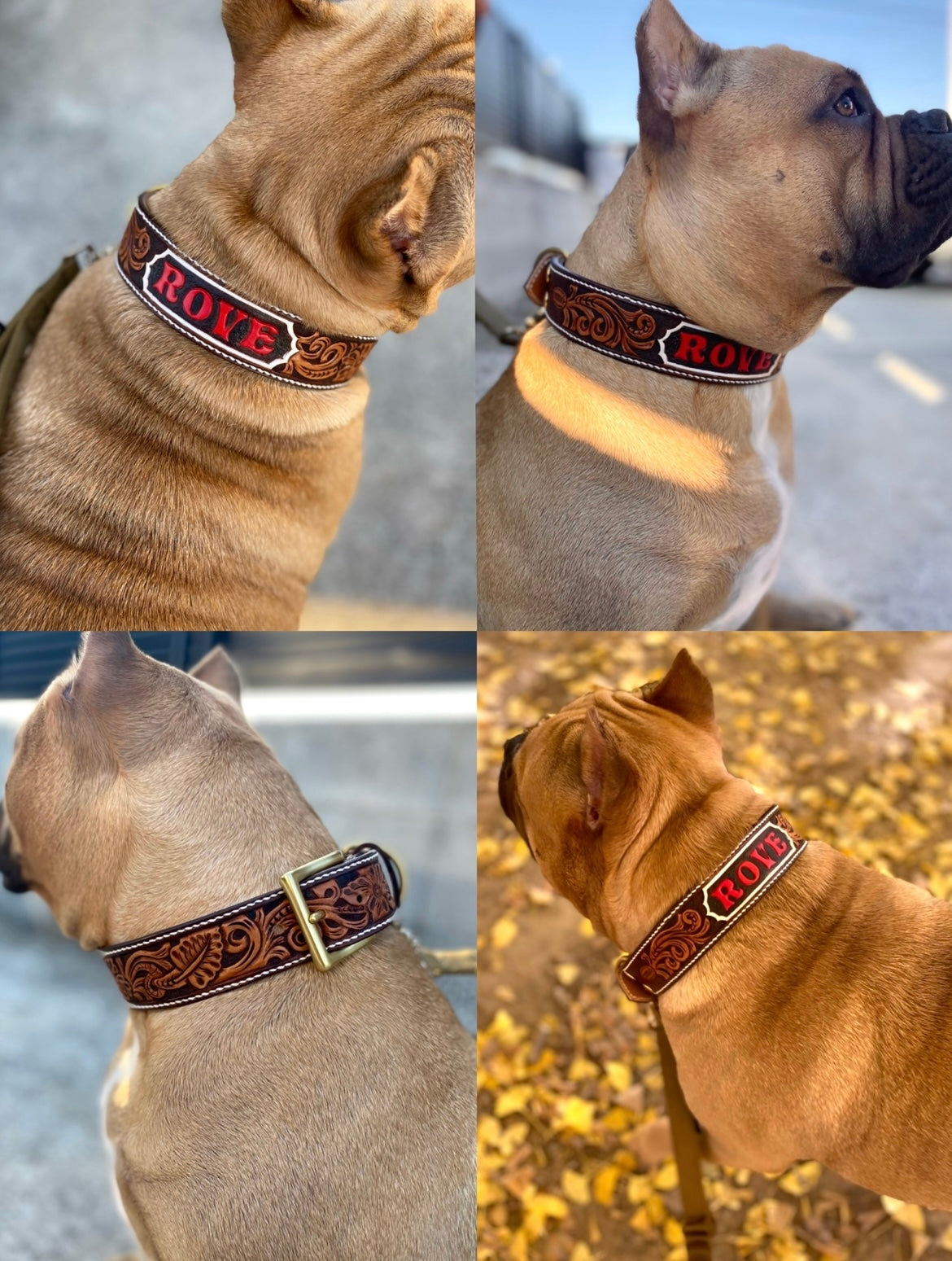 FULL ORDER COLLAR