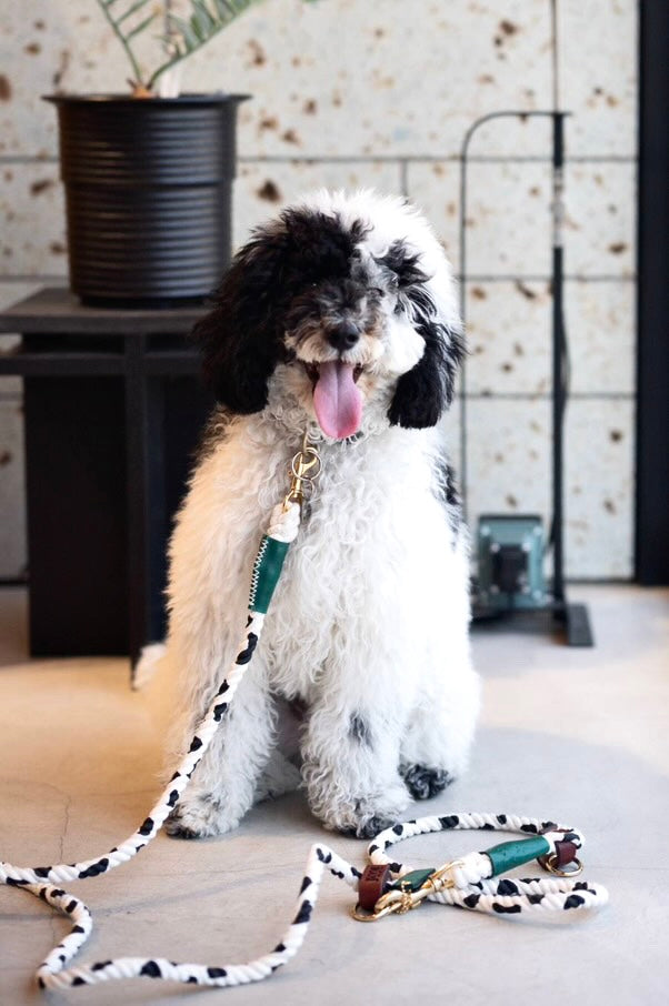 Cow pattern 2WAY ROPE LEAD