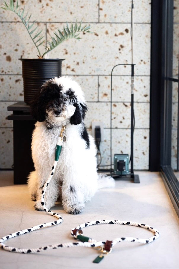 Cow pattern 2WAY ROPE LEAD