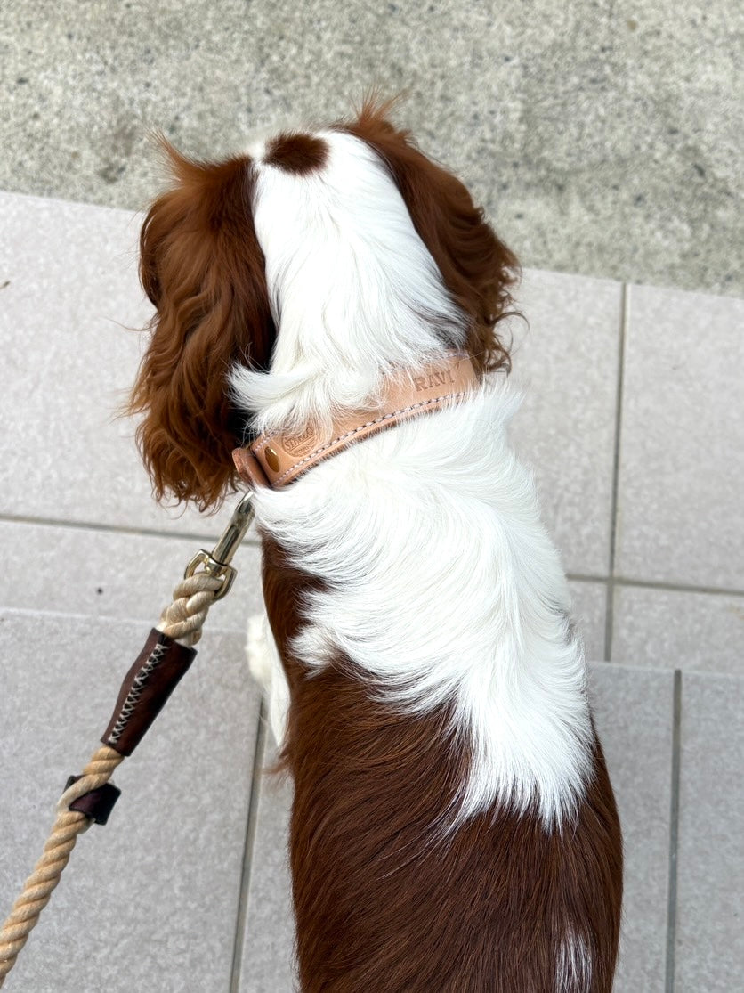 HAND STITCH LEATHER COLLAR/全22色