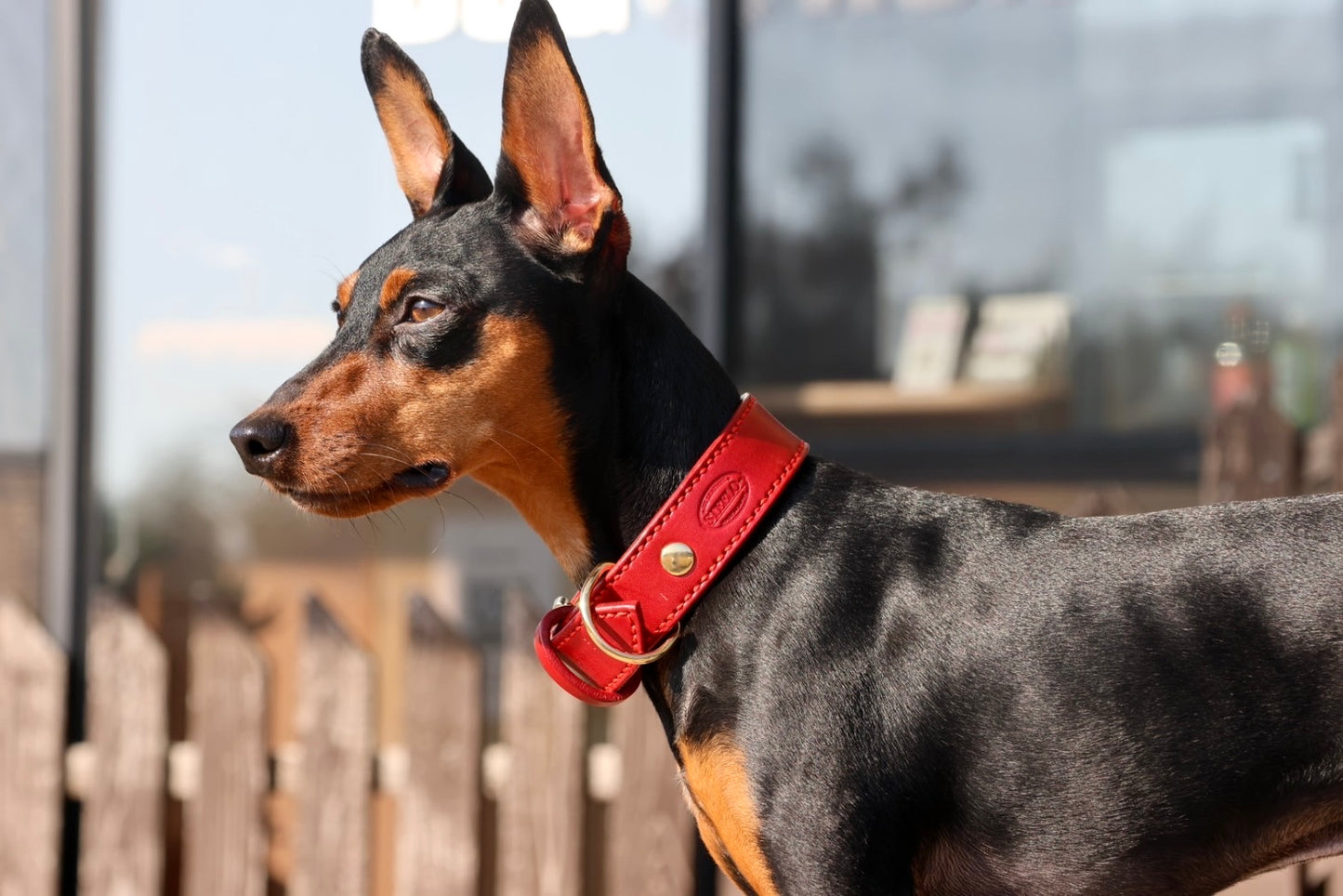 HAND STITCH LEATHER COLLAR/全22色