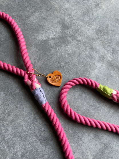 CASUAL ROPE LEAD/太さ12mm/70kg迄