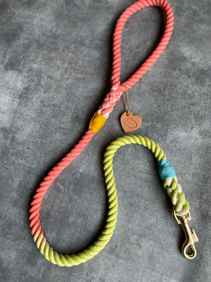 GRADATION CASUAL ROPE LEAD/太さ12mm/20kg迄