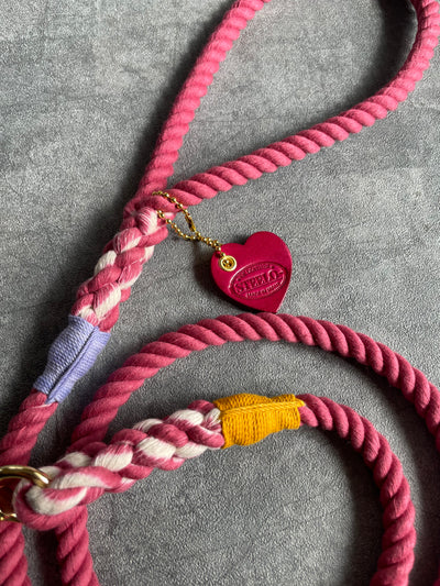 CASUAL ROPE LEAD/太さ9mm/15kg迄